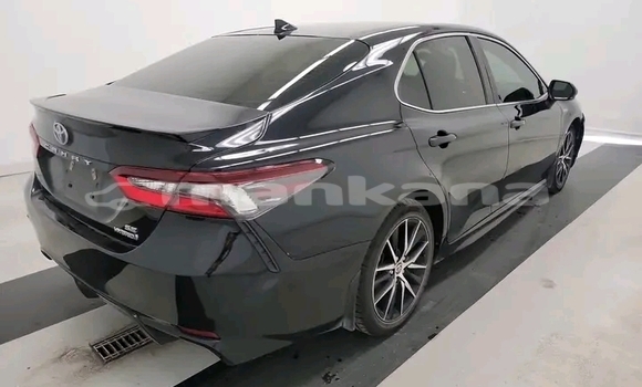 Buy Used Toyota Camry Black Car in Gulripshi in Abhasia Buy Used Toyota Camry Black Car in Gulripshi in Abhasia