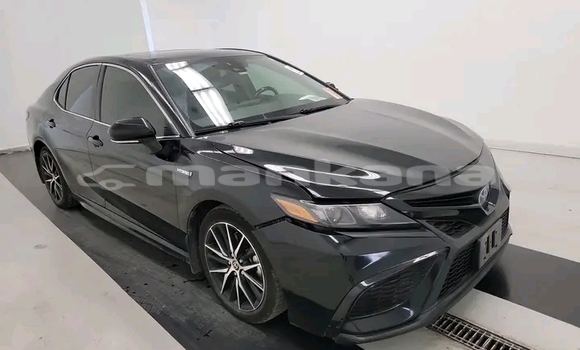 Buy Used Toyota Camry Black Car in Gulripshi in Abhasia Buy Used Toyota Camry Black Car in Gulripshi in Abhasia