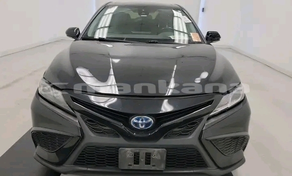 Buy Used Toyota Camry Black Car in Gulripshi in Abhasia Buy Used Toyota Camry Black Car in Gulripshi in Abhasia