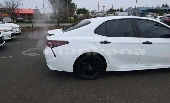 Buy Used Toyota Camry White Car in Gali in Abhasia Buy Used Toyota Camry White Car in Gali in Abhasia