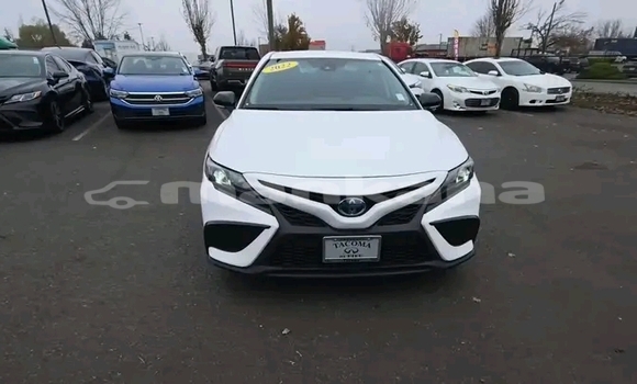 Buy Used Toyota Camry White Car in Gali in Abhasia Buy Used Toyota Camry White Car in Gali in Abhasia