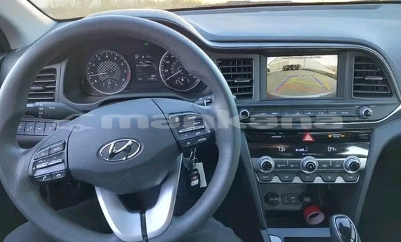 Buy Used Hyundai Elantra Other Car in Gudauta in Abhasia Buy Used Hyundai Elantra Other Car in Gudauta in Abhasia