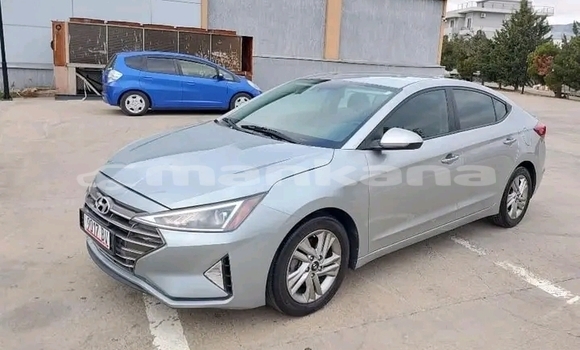 Buy Used Hyundai Elantra Other Car in Gudauta in Abhasia Buy Used Hyundai Elantra Other Car in Gudauta in Abhasia