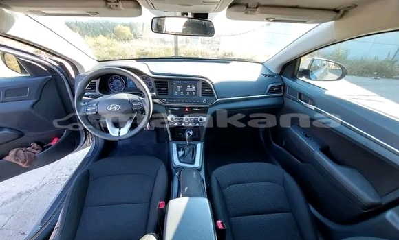 Buy Used Hyundai Elantra Other Car in Gudauta in Abhasia Buy Used Hyundai Elantra Other Car in Gudauta in Abhasia