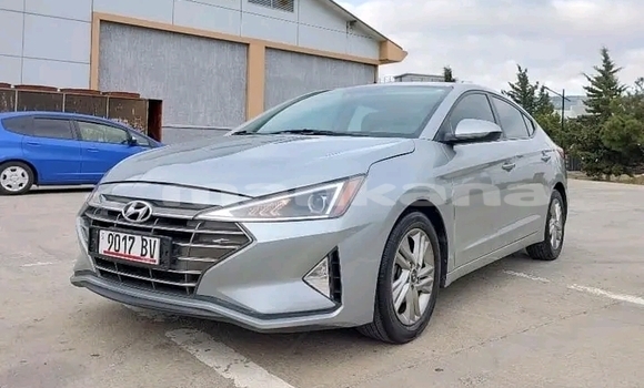 Buy Used Hyundai Elantra Other Car in Gudauta in Abhasia Buy Used Hyundai Elantra Other Car in Gudauta in Abhasia