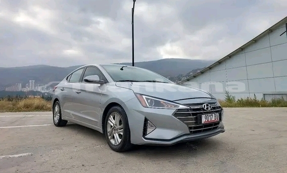 Buy Used Hyundai Elantra Other Car in Gudauta in Abhasia Buy Used Hyundai Elantra Other Car in Gudauta in Abhasia