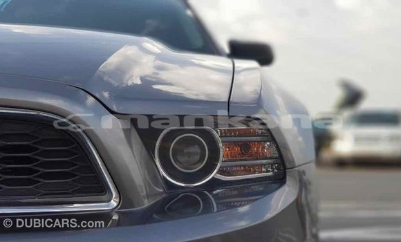 Buy Import Ford Mustang Other Car in Import - Dubai in Abhasia Buy Import Ford Mustang Other Car in Import - Dubai in Abhasia