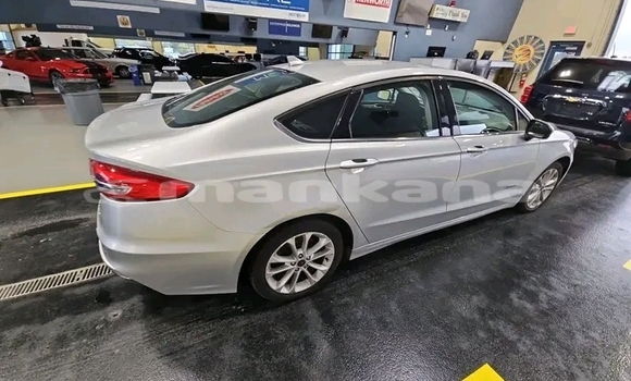 Buy Used Ford Fusion White Car in Gulripshi in Abhasia Buy Used Ford Fusion White Car in Gulripshi in Abhasia