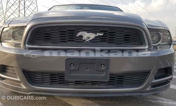Buy Import Ford Mustang Other Car in Import - Dubai in Abhasia Buy Import Ford Mustang Other Car in Import - Dubai in Abhasia
