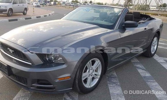 Buy Import Ford Mustang Other Car in Import - Dubai in Abhasia Buy Import Ford Mustang Other Car in Import - Dubai in Abhasia