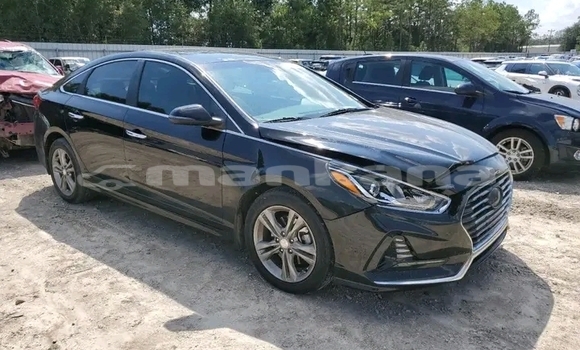 Buy Used Hyundai Sonata Black Car in Ninocminda in Samche-Zhavaheti Buy Used Hyundai Sonata Black Car in Ninocminda in Samche-Zhavaheti