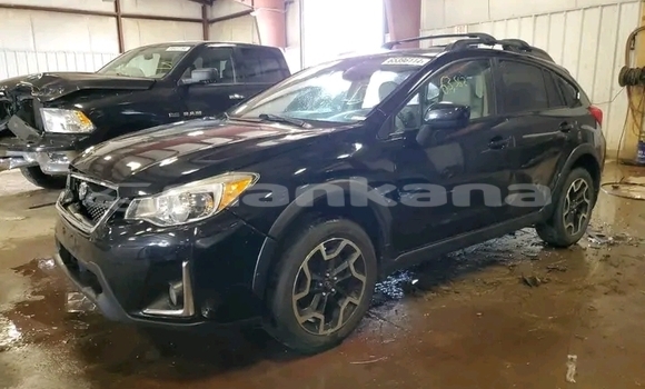 Buy Used Subaru Impreza Black Car in Borzhomi in Samche-Zhavaheti Buy Used Subaru Impreza Black Car in Borzhomi in Samche-Zhavaheti