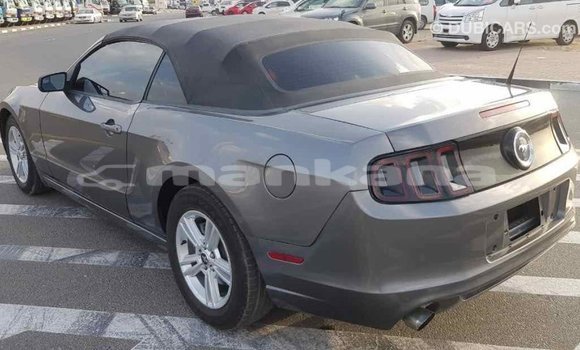 Buy Import Ford Mustang Other Car in Import - Dubai in Abhasia Buy Import Ford Mustang Other Car in Import - Dubai in Abhasia