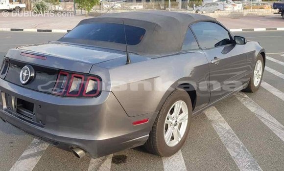 Buy Import Ford Mustang Other Car in Import - Dubai in Abhasia Buy Import Ford Mustang Other Car in Import - Dubai in Abhasia