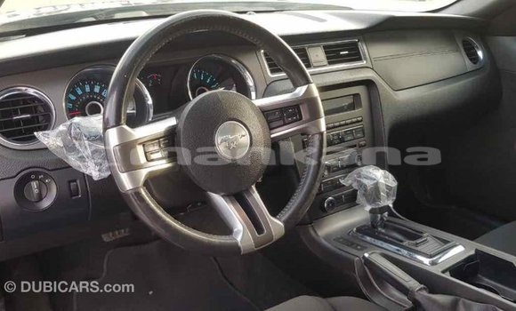 Buy Import Ford Mustang Other Car in Import - Dubai in Abhasia Buy Import Ford Mustang Other Car in Import - Dubai in Abhasia