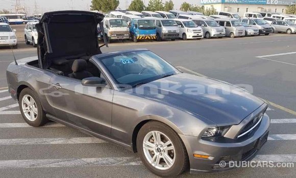 Buy Import Ford Mustang Other Car in Import - Dubai in Abhasia Buy Import Ford Mustang Other Car in Import - Dubai in Abhasia