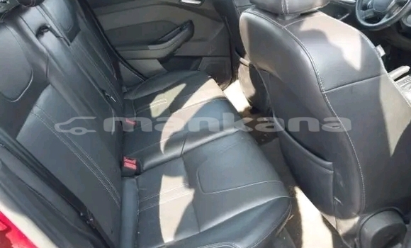 Buy Used Ford Focus Red Car in Batumi in Ajaria Buy Used Ford Focus Red Car in Batumi in Ajaria