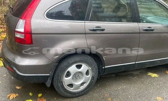 Buy Used Honda CR–V Other Car in Dedoplisckaro in Kaheti Buy Used Honda CR–V Other Car in Dedoplisckaro in Kaheti