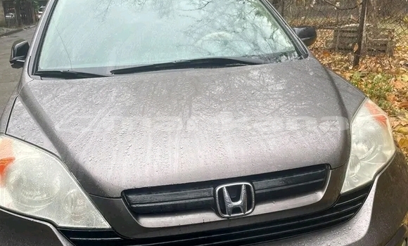 Buy Used Honda CR–V Other Car in Dedoplisckaro in Kaheti Buy Used Honda CR–V Other Car in Dedoplisckaro in Kaheti