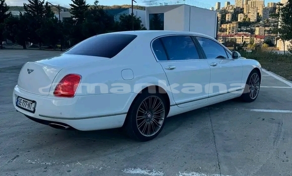 Buy Used BMW Z1 White Car in Bagdadi in Imereti Buy Used BMW Z1 White Car in Bagdadi in Imereti