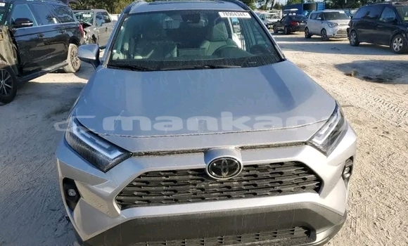Buy Used Toyota RAV4 Other Car in Bagdadi in Imereti Buy Used Toyota RAV4 Other Car in Bagdadi in Imereti