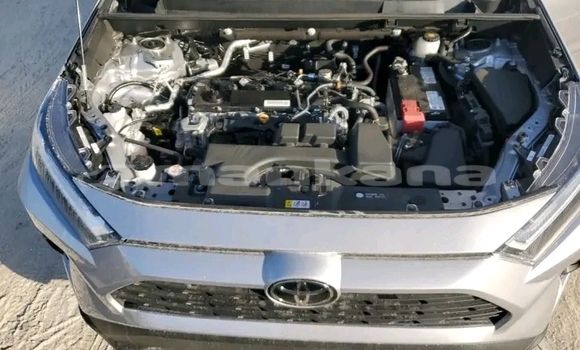 Buy Used Toyota RAV4 Other Car in Bagdadi in Imereti Buy Used Toyota RAV4 Other Car in Bagdadi in Imereti