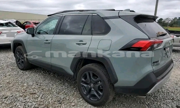 Buy Used Toyota RAV4 Other Car in Batumi in Ajaria Buy Used Toyota RAV4 Other Car in Batumi in Ajaria