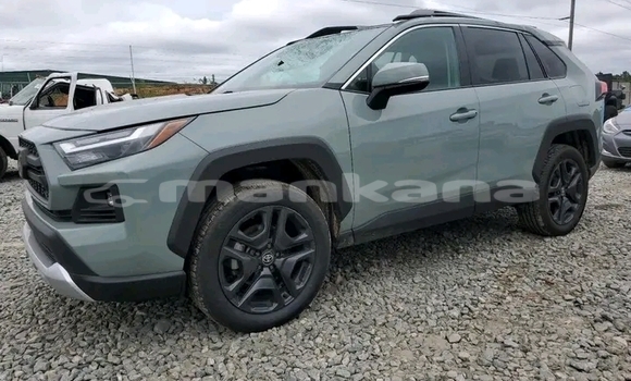 Buy Used Toyota RAV4 Other Car in Batumi in Ajaria Buy Used Toyota RAV4 Other Car in Batumi in Ajaria