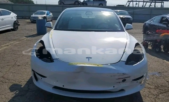 Buy Used Tesla Model 3 White Car in Bagdadi in Imereti Buy Used Tesla Model 3 White Car in Bagdadi in Imereti