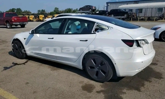 Buy Used Tesla Model 3 White Car in Bagdadi in Imereti Buy Used Tesla Model 3 White Car in Bagdadi in Imereti