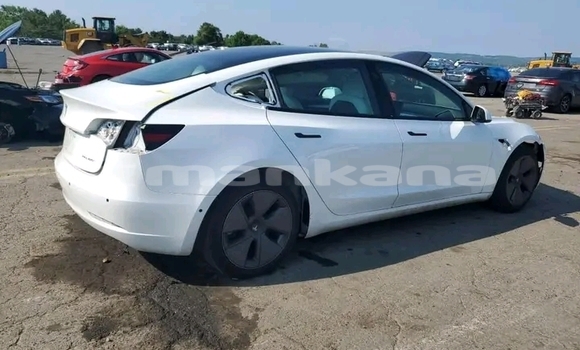 Buy Used Tesla Model 3 White Car in Bagdadi in Imereti Buy Used Tesla Model 3 White Car in Bagdadi in Imereti