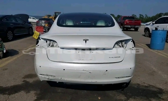 Buy Used Tesla Model 3 White Car in Bagdadi in Imereti Buy Used Tesla Model 3 White Car in Bagdadi in Imereti