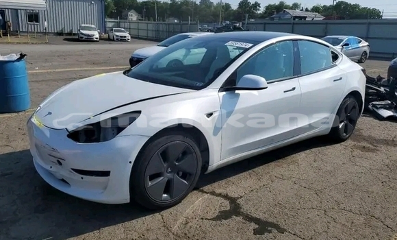 Buy Used Tesla Model 3 White Car in Bagdadi in Imereti Buy Used Tesla Model 3 White Car in Bagdadi in Imereti