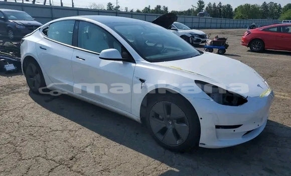 Buy Used Tesla Model 3 White Car in Bagdadi in Imereti Buy Used Tesla Model 3 White Car in Bagdadi in Imereti