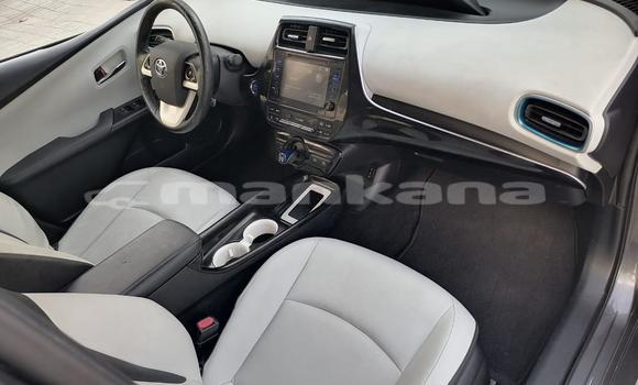 Buy Import Toyota Prius Other Car in Tbilisi in Tbilisi