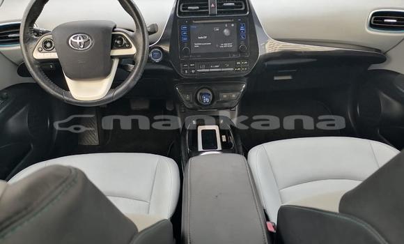 Buy Import Toyota Prius Other Car in Tbilisi in Tbilisi Buy Import Toyota Prius Other Car in Tbilisi in Tbilisi