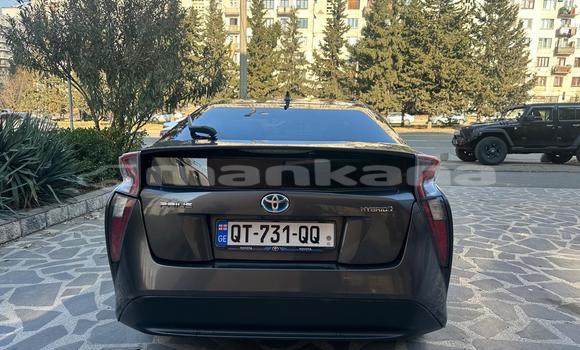 Buy Import Toyota Prius Other Car in Tbilisi in Tbilisi Buy Import Toyota Prius Other Car in Tbilisi in Tbilisi