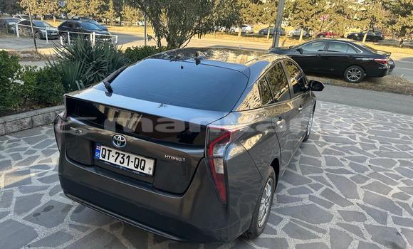Buy Import Toyota Prius Other Car in Tbilisi in Tbilisi Buy Import Toyota Prius Other Car in Tbilisi in Tbilisi