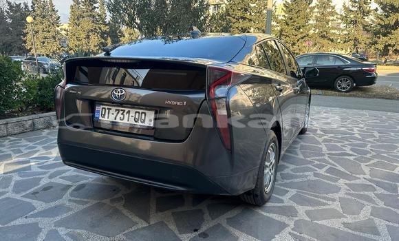 Buy Import Toyota Prius Other Car in Tbilisi in Tbilisi Buy Import Toyota Prius Other Car in Tbilisi in Tbilisi