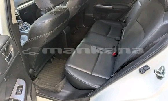 Buy Used Subaru Forester White Car in Bagdadi in Imereti Buy Used Subaru Forester White Car in Bagdadi in Imereti