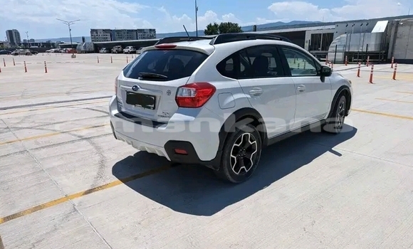 Buy Used Subaru Forester White Car in Bagdadi in Imereti Buy Used Subaru Forester White Car in Bagdadi in Imereti