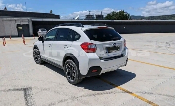 Buy Used Subaru Forester White Car in Bagdadi in Imereti Buy Used Subaru Forester White Car in Bagdadi in Imereti