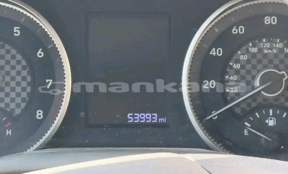 Buy Used Hyundai Elantra White Car in Gagra in Abhasia Buy Used Hyundai Elantra White Car in Gagra in Abhasia