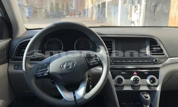 Buy Used Hyundai Elantra White Car in Gagra in Abhasia Buy Used Hyundai Elantra White Car in Gagra in Abhasia