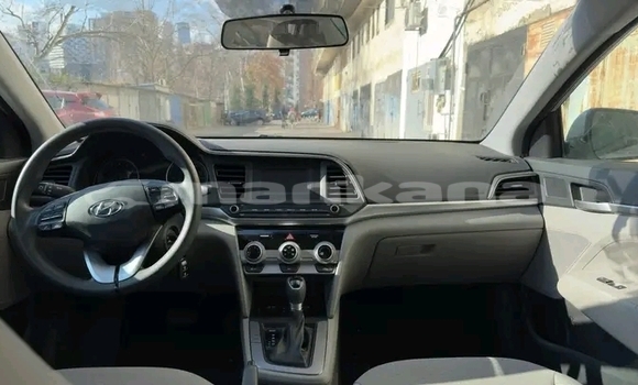 Buy Used Hyundai Elantra White Car in Gagra in Abhasia Buy Used Hyundai Elantra White Car in Gagra in Abhasia
