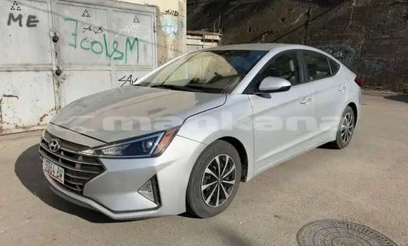 Buy Used Hyundai Elantra White Car in Gagra in Abhasia Buy Used Hyundai Elantra White Car in Gagra in Abhasia