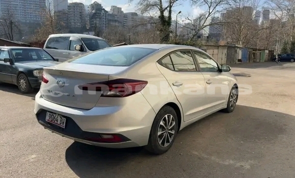 Buy Used Hyundai Elantra White Car in Gagra in Abhasia Buy Used Hyundai Elantra White Car in Gagra in Abhasia