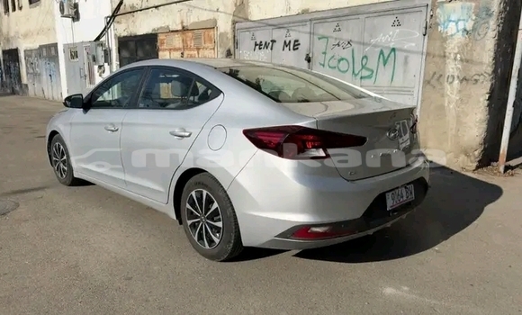 Buy Used Hyundai Elantra White Car in Gagra in Abhasia Buy Used Hyundai Elantra White Car in Gagra in Abhasia