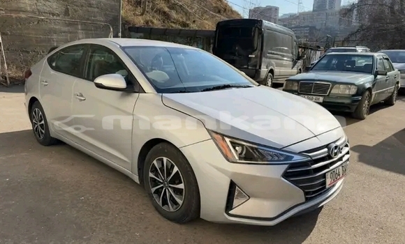 Buy Used Hyundai Elantra White Car in Gagra in Abhasia Buy Used Hyundai Elantra White Car in Gagra in Abhasia