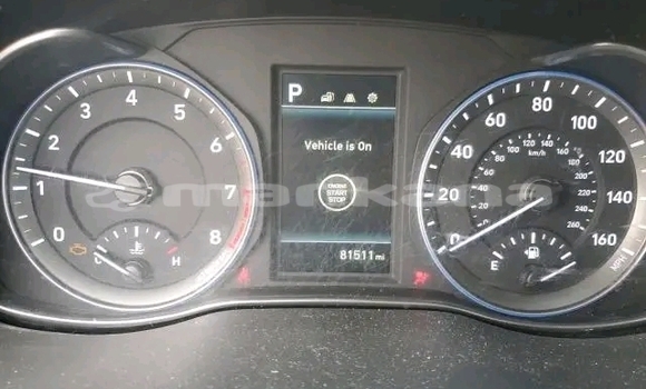 Buy Used Hyundai Elantra White Car in Honi in Imereti Buy Used Hyundai Elantra White Car in Honi in Imereti